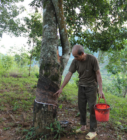 Description: http://baolaichau.vn/sites/default/files/s%288901%29.jpg