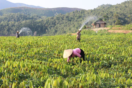 http://baolaichau.vn/sites/default/files/s%285268%29.jpg
