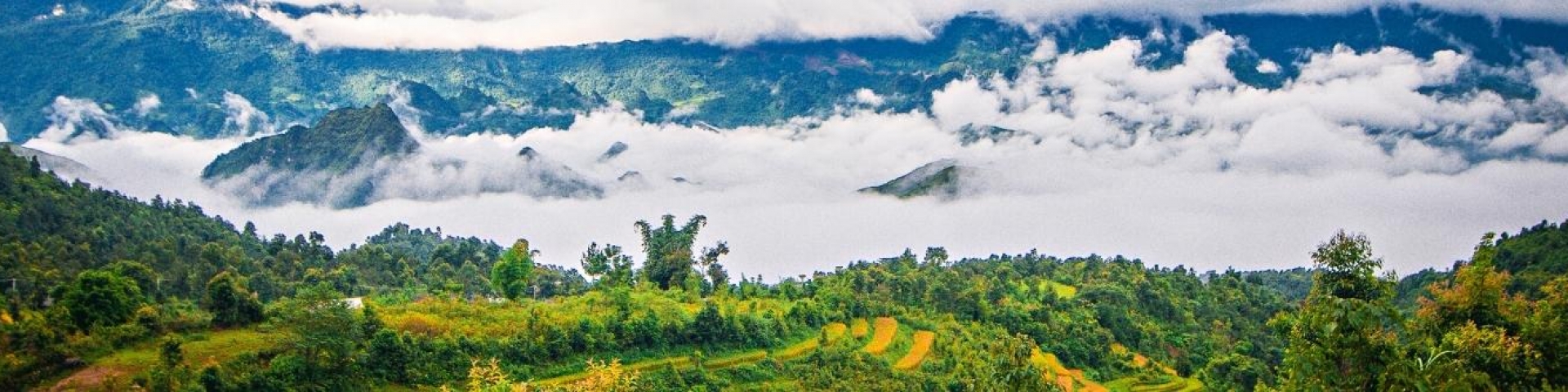 BANNER DƯỚI CHUYÊN MỤC CHÍNH 1 (KHÔNG XÓA)