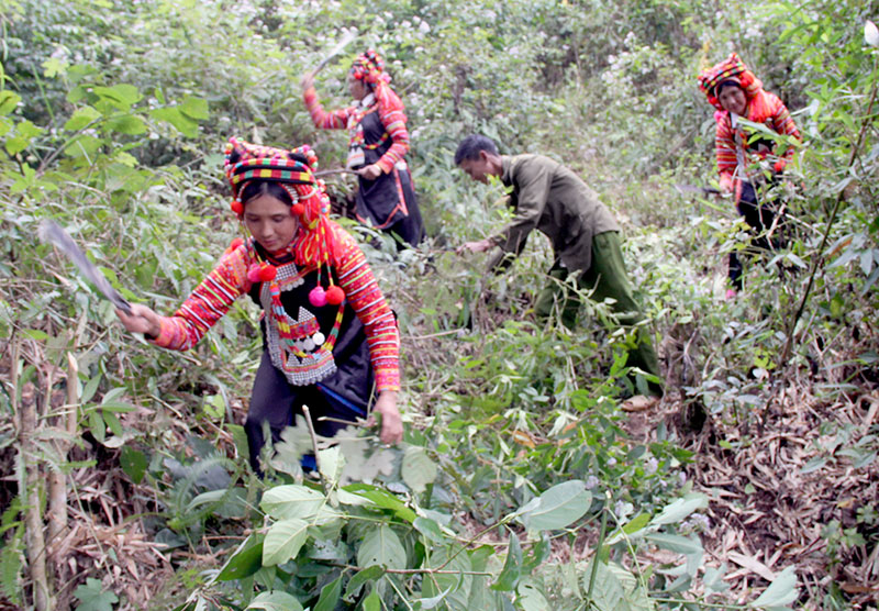 Phòng, chống cháy rừng ở Ka Lăng