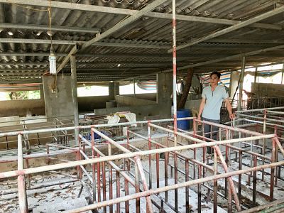 Anh Bắc xót xa khi nhìn chuồng nuôi lợn trống không của gia đình sau chuỗi ngày dịch tả lợn Châu Phi xuất hiện.