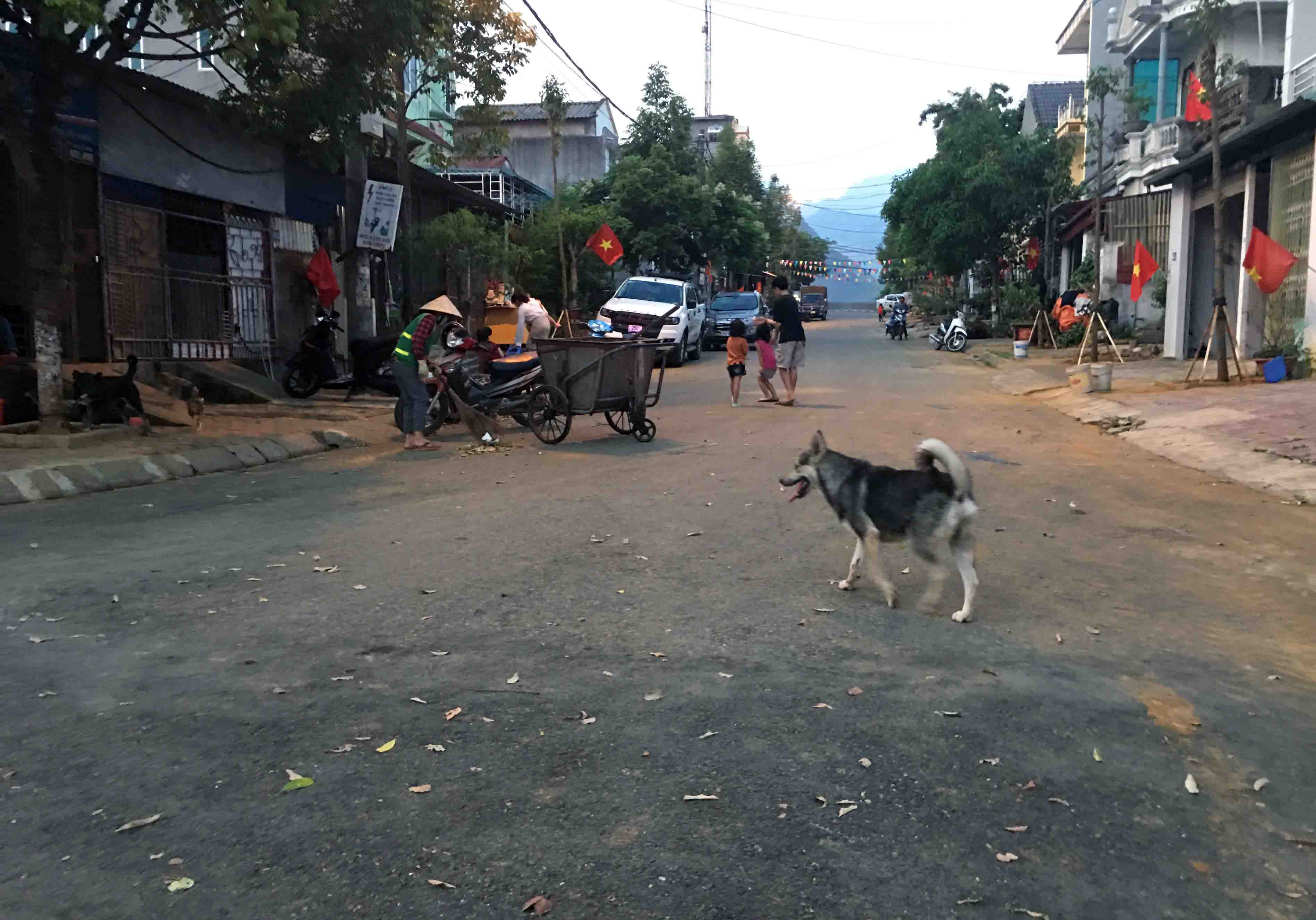 Tình trạng chó thả rông không rọ mõm vẫn diễn ra trên địa bàn thành phố Lai Châu, tiềm ẩn nguy cơ lây lan dịch dại trong cộng đồng.