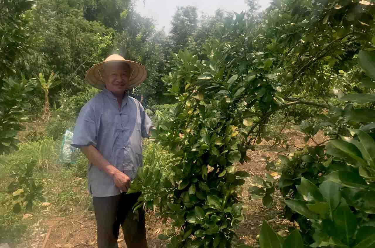 Đa dạng hoạt động công tác Hội