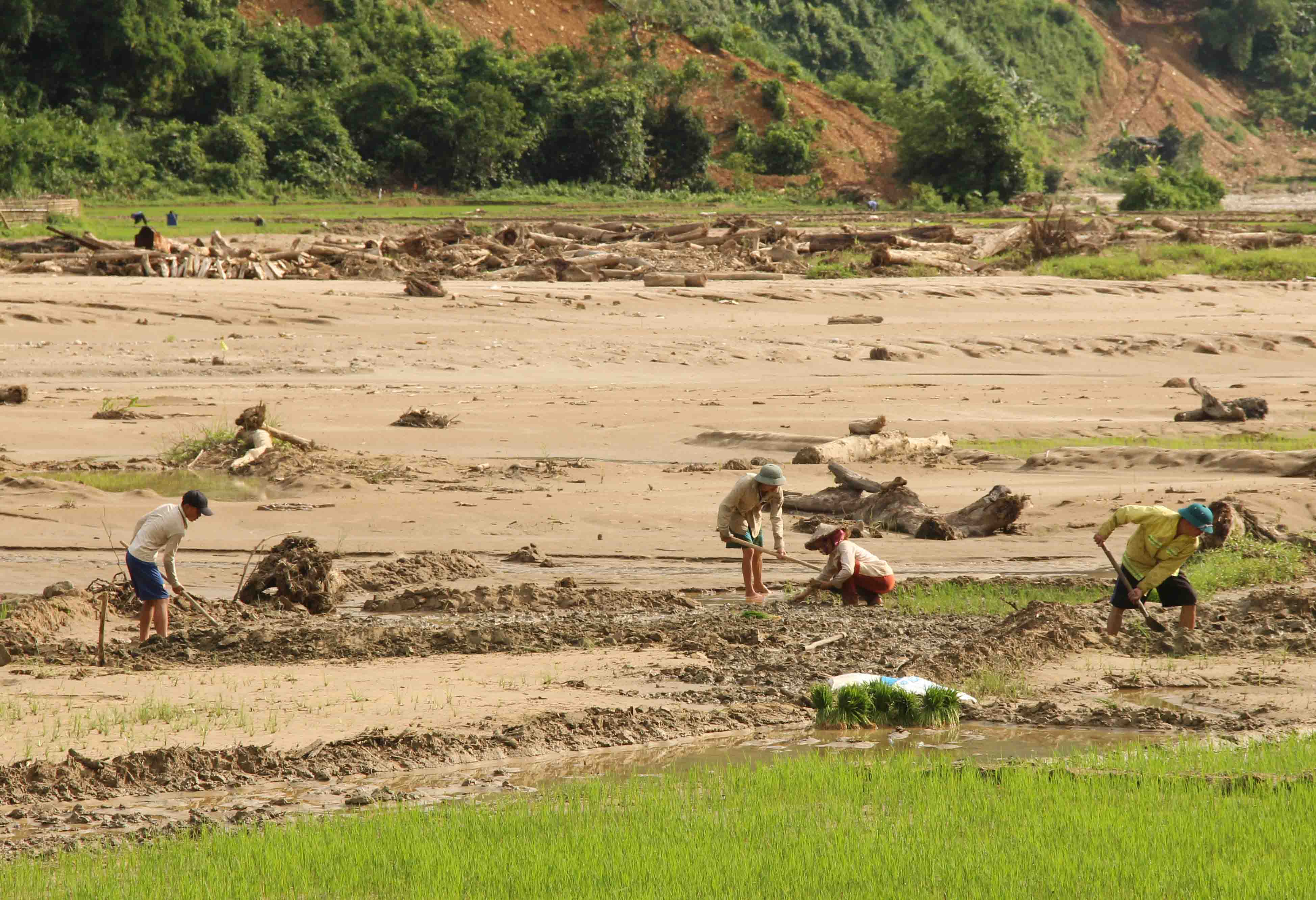 nhân dân bản Nà Lang, xã Bum Nưa khôi phục sản xuất sau lũ