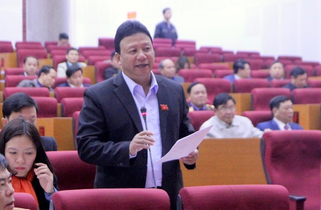 Đại biểu Lý Anh hừ