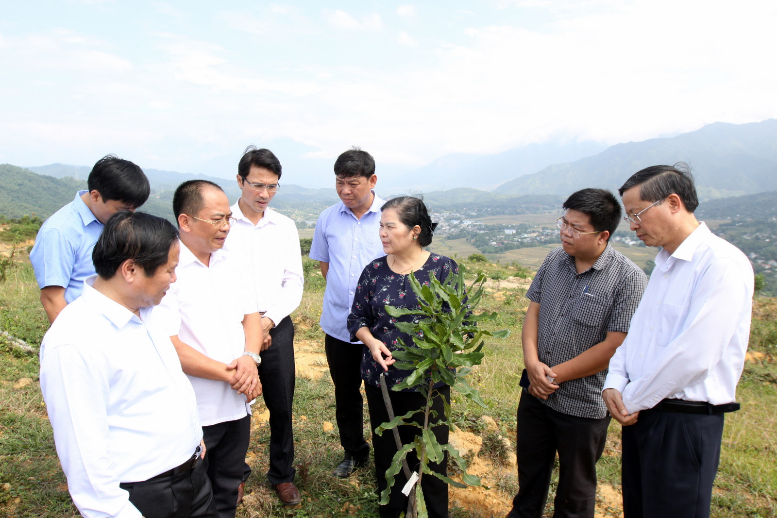 Đoàn công tác của tỉnh kiểm tra tình hình trồng mắc ca của Công ty TNHH Him Lam Lai Châu tại xã Mường Cang, huyện Than Uyên