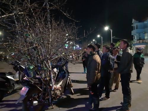 Khan hiếm đào già ngày tết