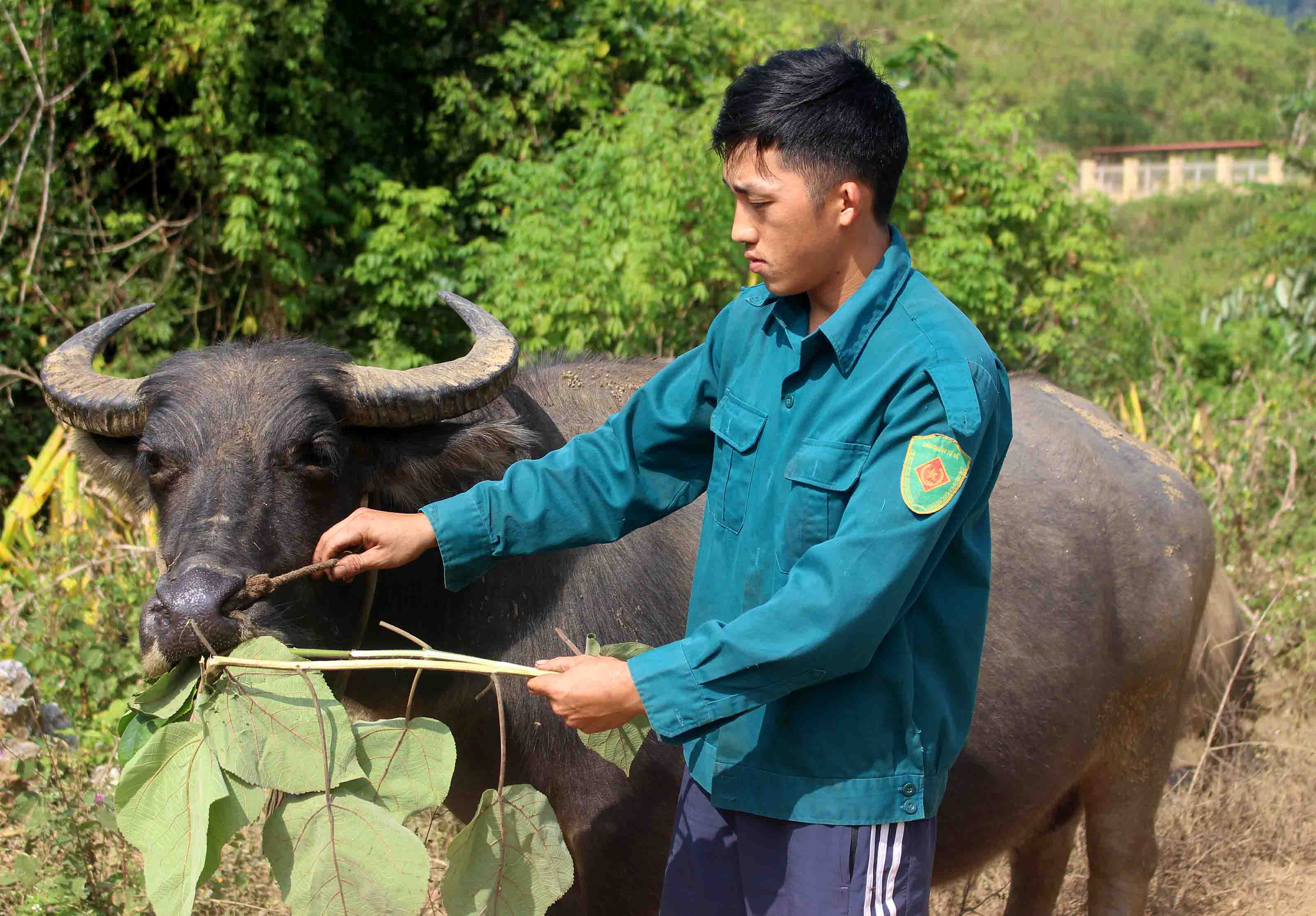 Đoàn viên phát triển kinh tế 