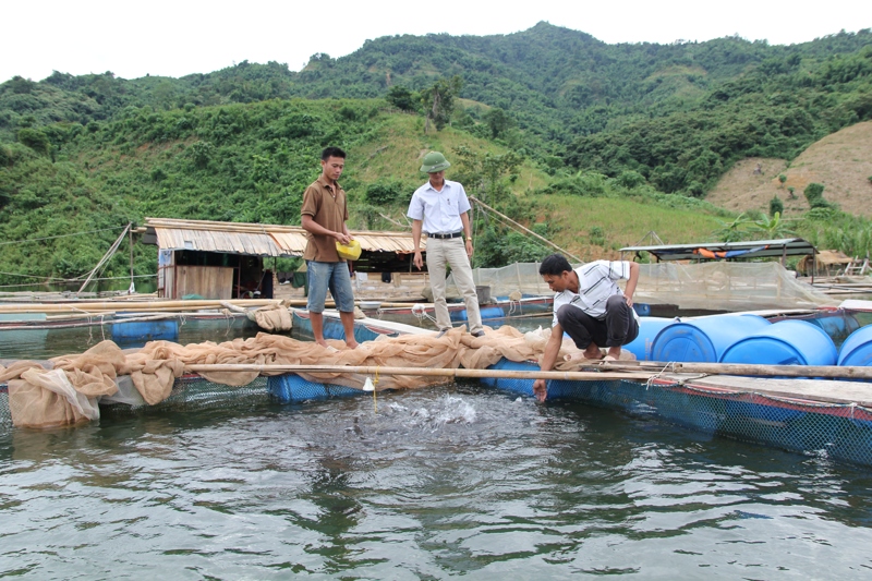 Người dân xã Mường Mô (huyện Nậm Nhùn) nuôi cá lồng trên lòng hồ thủy điên Lai Châu.