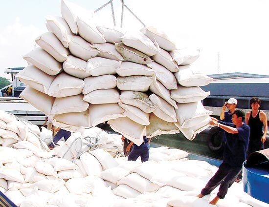 Tạm dừng ký hợp đồng xuất khẩu gạo mới