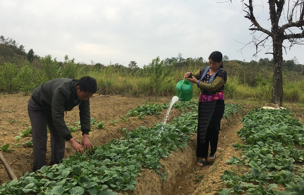 Người dân bản Sà Dề Phìn (xã Sà Dề Phìn, huyện Sìn Hồ) ổn định sản xuất sau các đợt mưa đá.