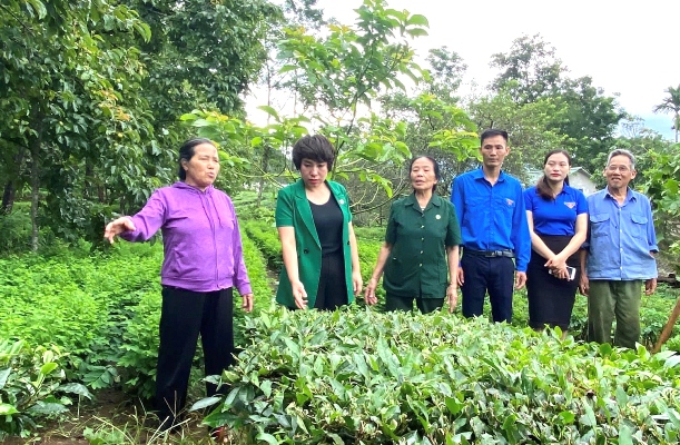 Cán bộ Thành đoàn, Hội Cựu TNXP thành phố thăm mô hình phát triển kinh tế của hội viên Nguyễn Thị Nhôi (bản Lò Suối Tủng, xã San Thàng, thành phố Lai Châu).