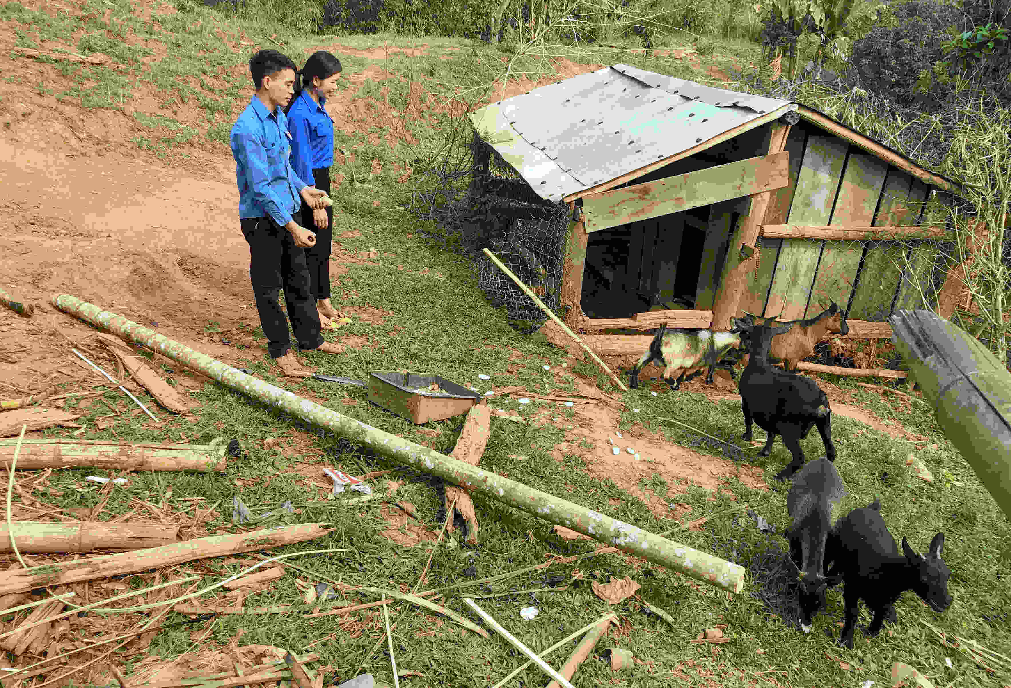 Xung kích trong phát triển kinh tế, đoàn viên Lò Văn Sươi (xã Pa Khóa) đầu tư chăn nuôi dê để tạo ra thu nhập, nâng cao đời sống.