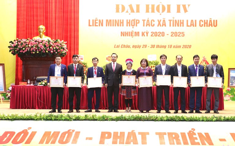 Đồng chí Trần Tiến Dũng- Phó Bí thư Tỉnh ủy, Chủ tịch UBND tỉnh tặng bằng khen của UBND tỉnh cho các HTX tiêu biểu trên địa bàn tỉnh.  