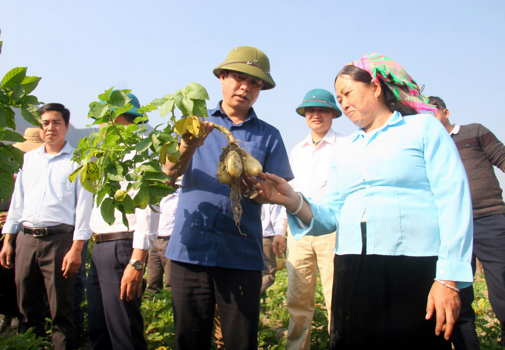 Lãnh đạo huyện Than Uyên tuyên truyền, vận động bà con xã Mường Kim phát triển kinh tế trồng cây khoai tây ở vụ Đông.