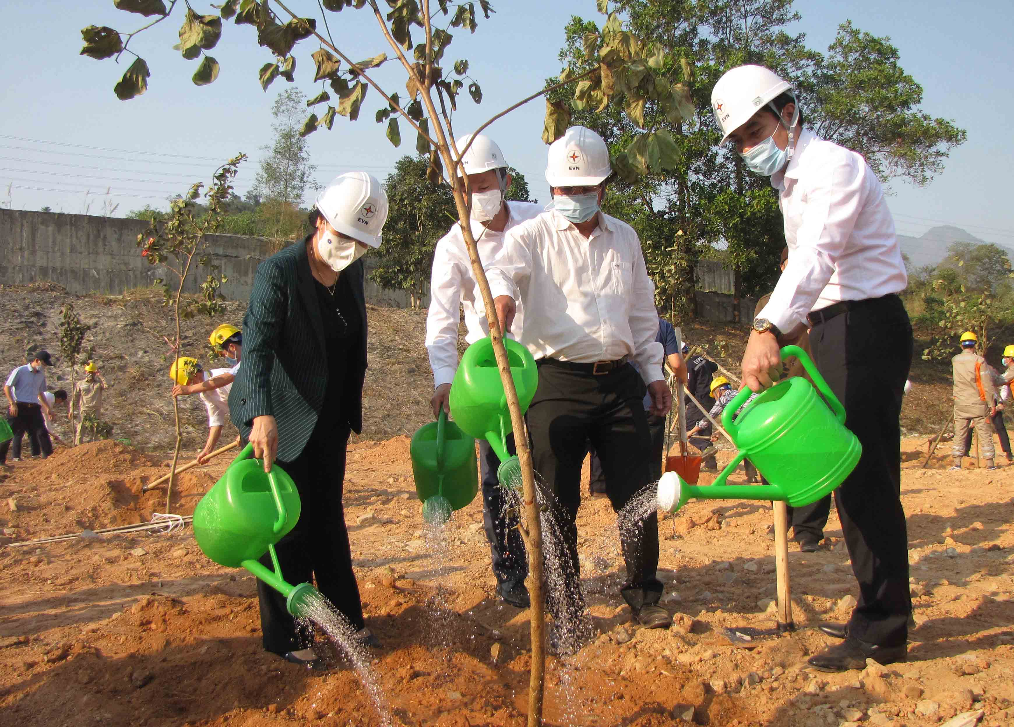 Lãnh đạo tỉnh, Tập đoàn điện Lực Việt Nam tham gia trồng cây tại lễ phát động.