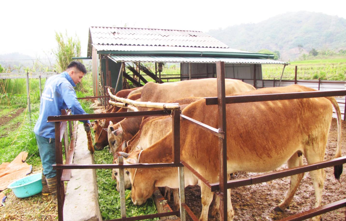 Nỗ lực giảm nghèo