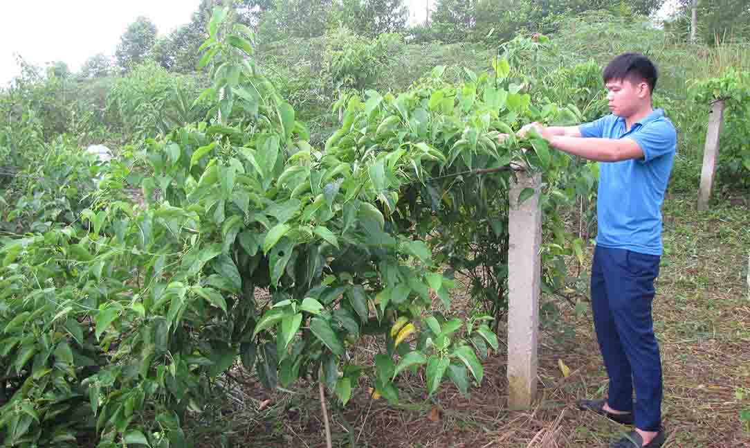 Quan tâm kết nạp đoàn viên