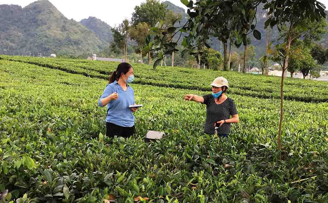 Giải phóng mặt bằng: Cách nào để biến khó thành dễ?