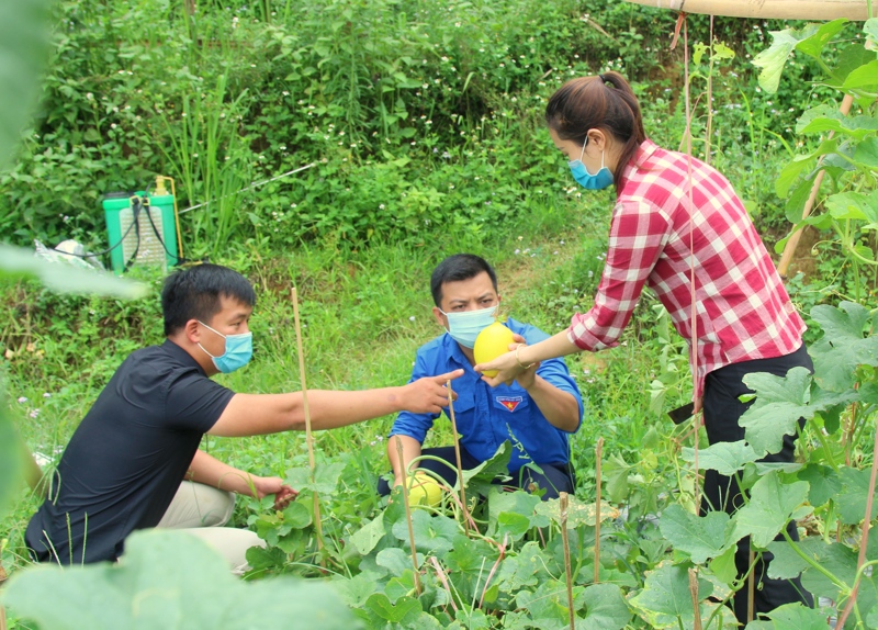 Thanh niên Than Uyên học và làm theo Bác