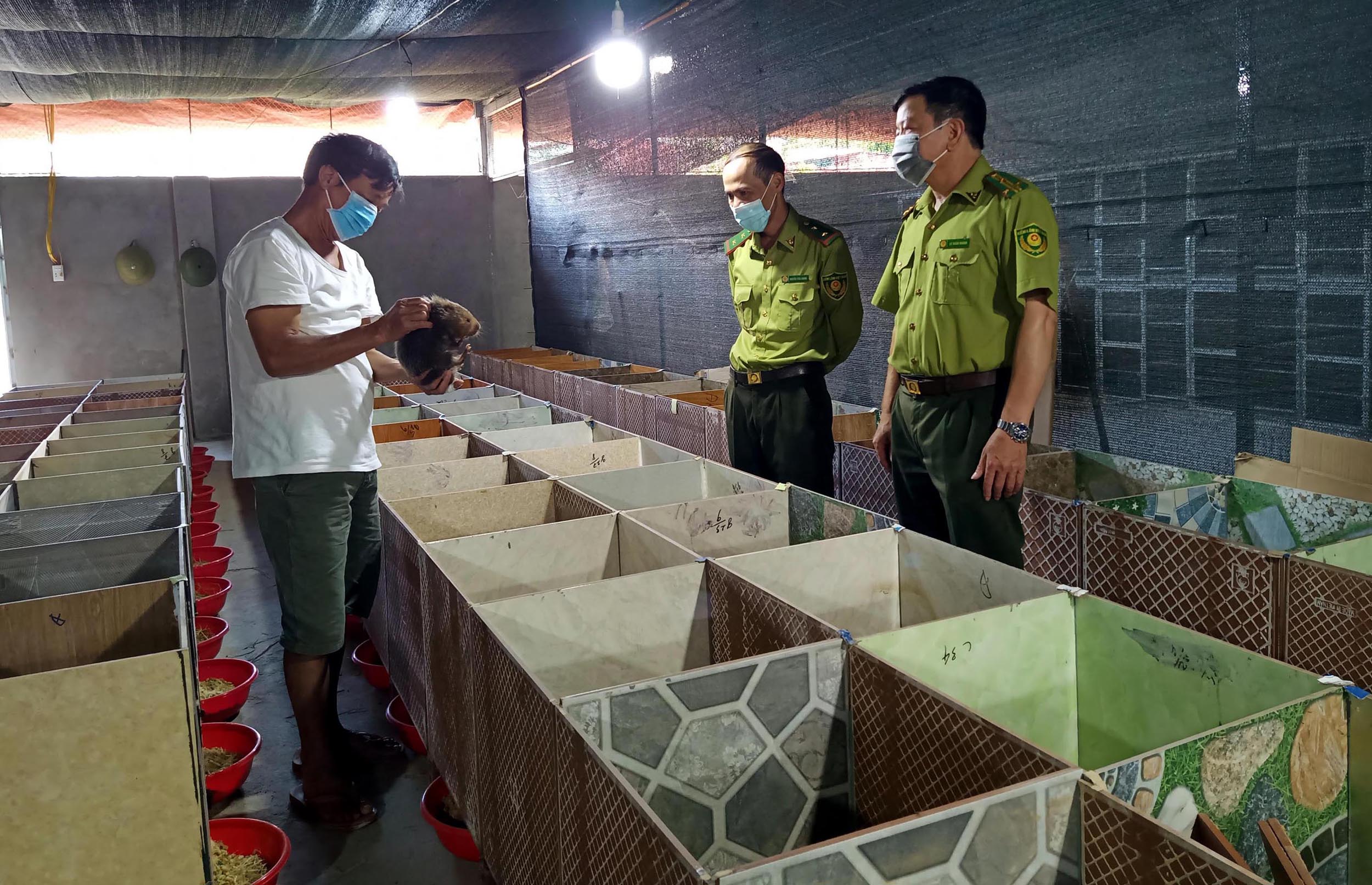 Cán bộ Kiểm lâm tỉnh kiểm tra mô hình chăn nuôi của gia đình ông Vũ Khánh Sênh. Cán bộ Kiểm lâm tỉnh kiểm tra mô hình chăn nuôi của gia đình ông Vũ Khánh Sênh.