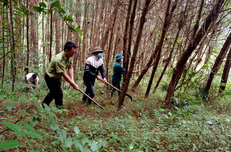 Đồng lòng giữ “lá phổi xanh” 
