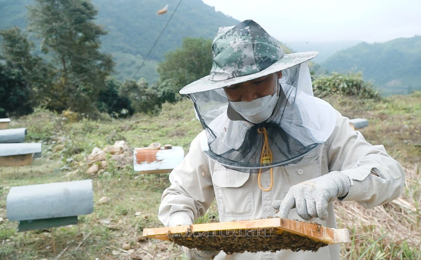 Hội viên nông dân thị trấn Nậm Nhùn (huyện Nậm Nhùn) phát triển nghề nuôi ong lấy mật.