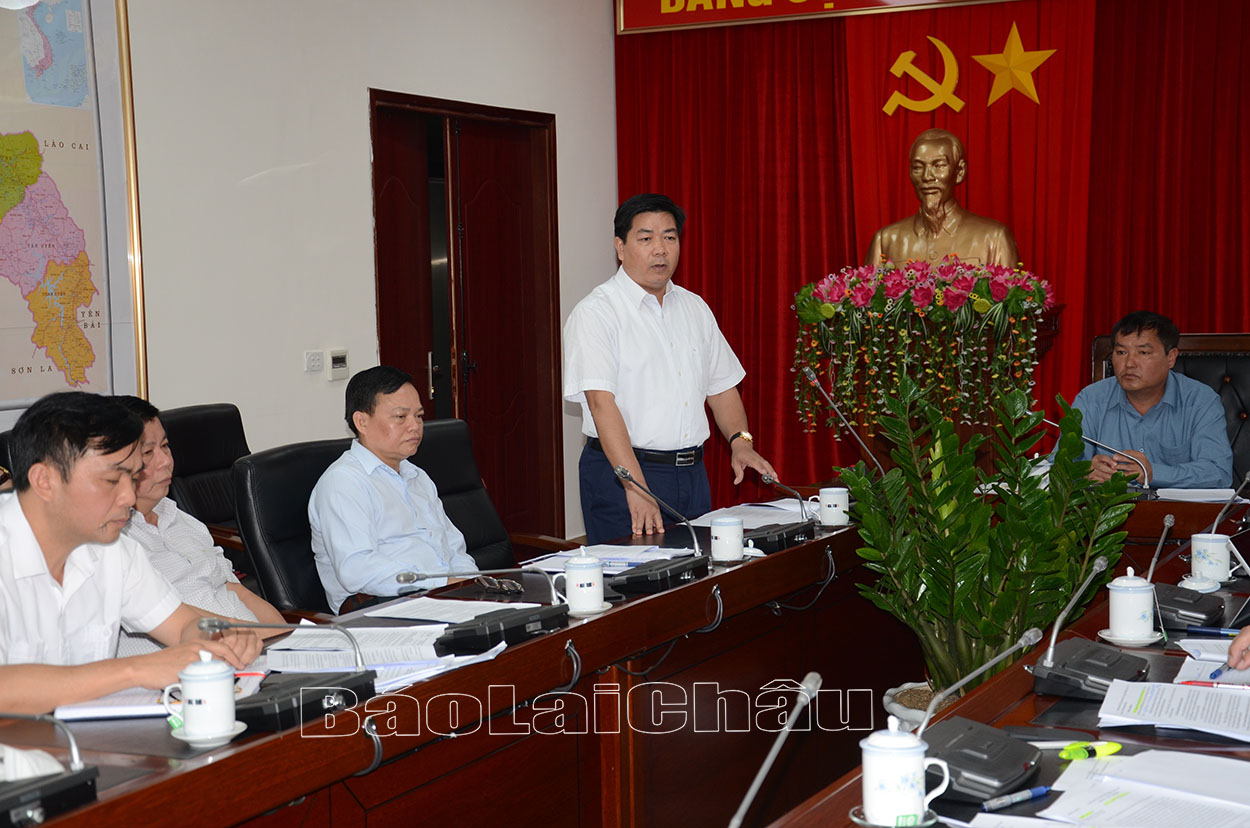 Họp tổ công tác chỉ đạo các dự án phát triển đô thị, nhà ở trên địa bàn tỉnh từ nguồn vốn đầu tư ngoài ngân sách