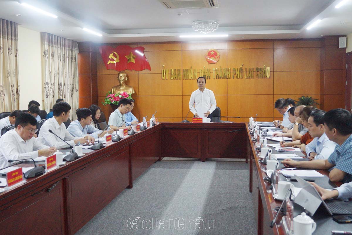 Đồng chí Trần Tiến Dũng - Phó Bí thư Tỉnh uỷ, Chủ tịch UBND tỉnh phát biểu chỉ đạo tại buổi làm việc.