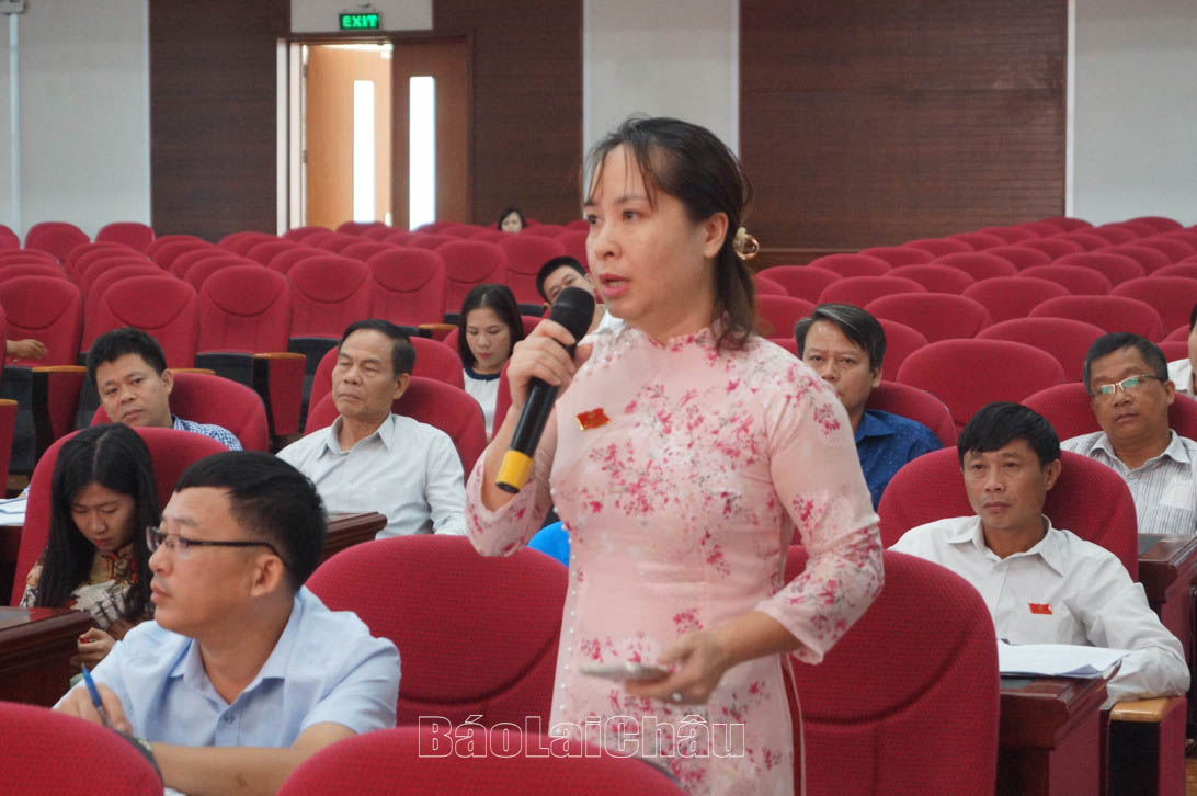 Đại biểu phát biểu ý kiến thạo luận tại hội trường.