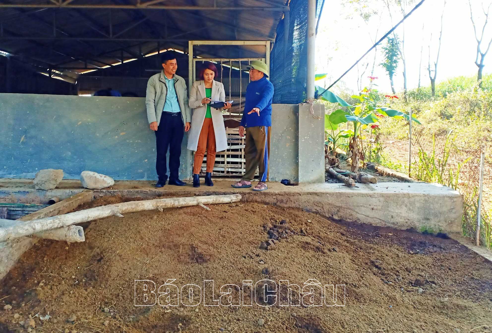 Khu bãi thải của trang trại chăn nuôi không có mùi gây ô nhiễm môi trường.