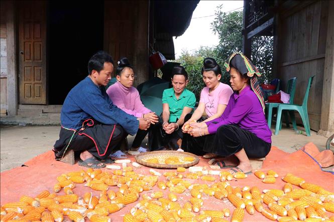 Người dân bản tái định cư Xám Láng, xã Nậm Khao, huyện Mường Tè có cuộc sống ổn định và vươn lên thoát nghèo. 