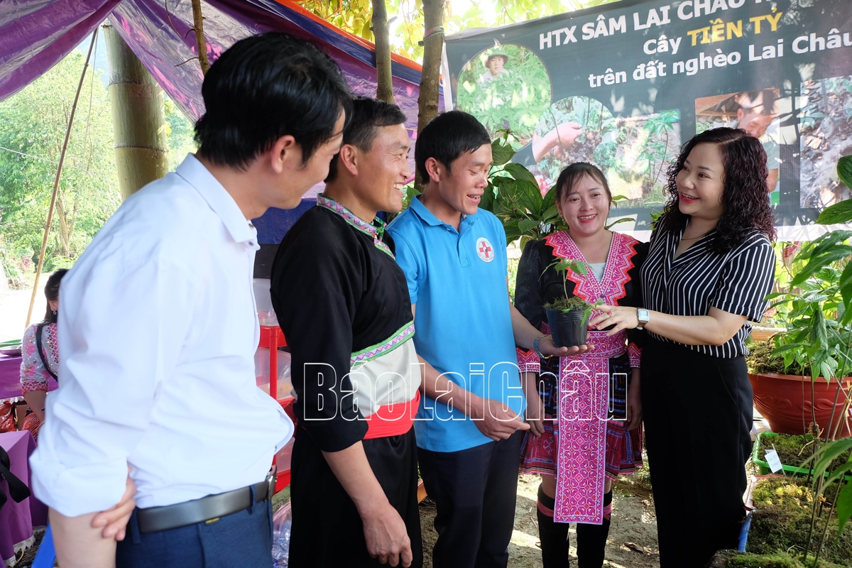 bí thư tham quan Khu trưng bày sâm
