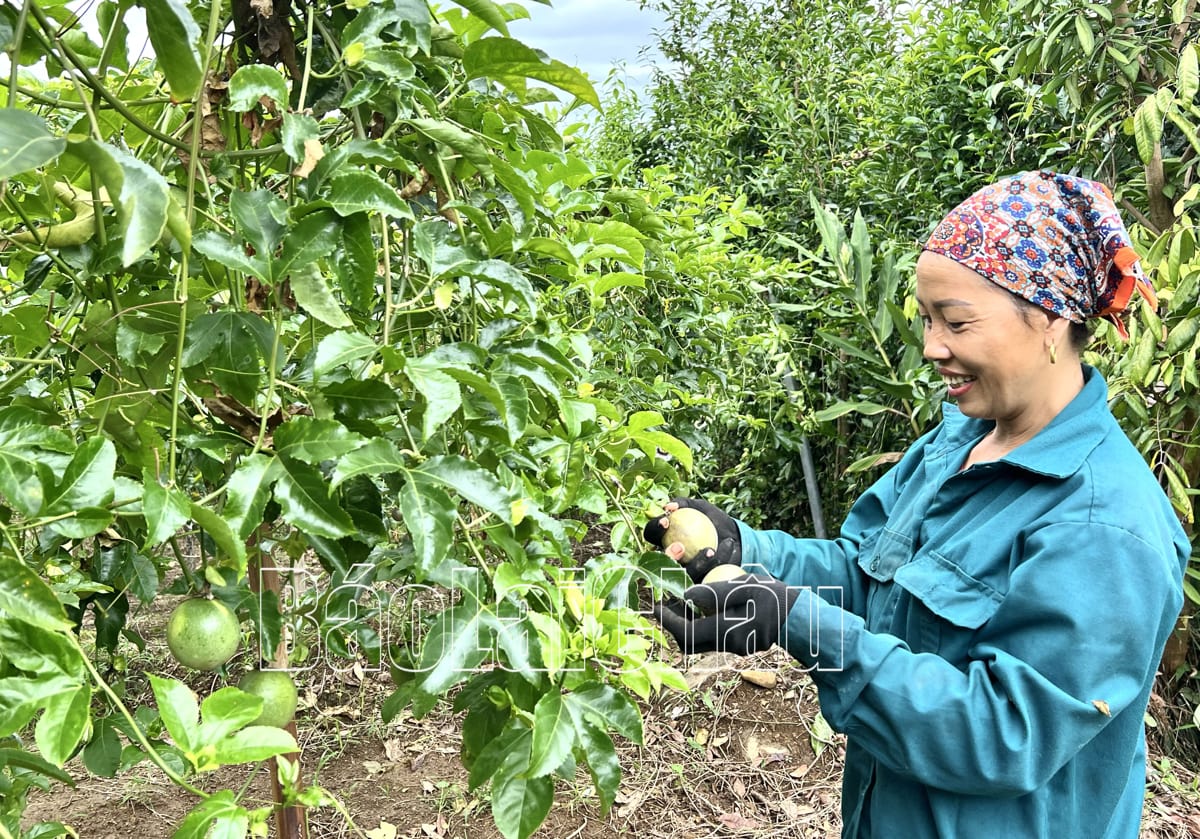 Hội Nông dân huyện Tam Đường học và làm theo lời Bác