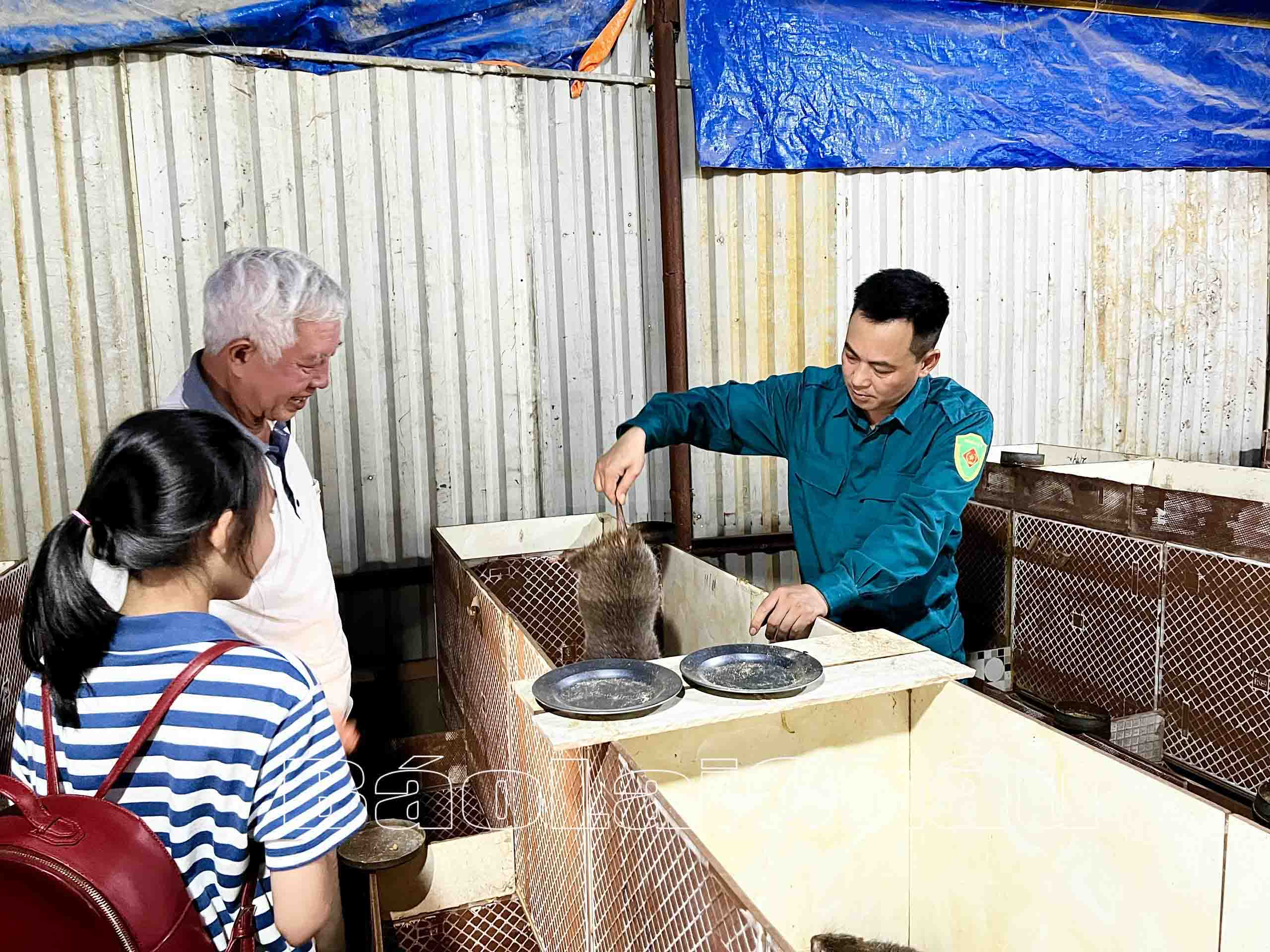 Nhiều đoàn khách đến tham quan mô hình nuôi dúi của gia đình anh Thái.