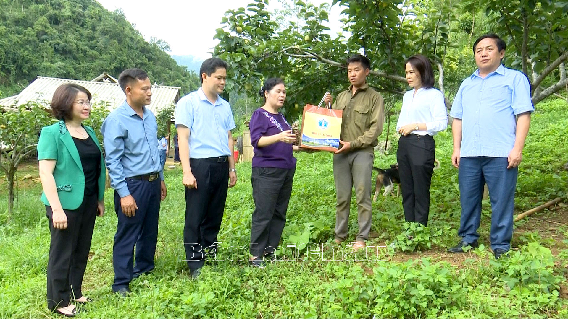 ... tặng quà động viên hộ dân trồng lê ở bản Nùng Nàng, xã Nùng Nàng (huyện Tam Đường). ... tặng quà động viên hộ dân trồng lê ở bản Nùng Nàng, xã Nùng Nàng (huyện Tam Đường).
