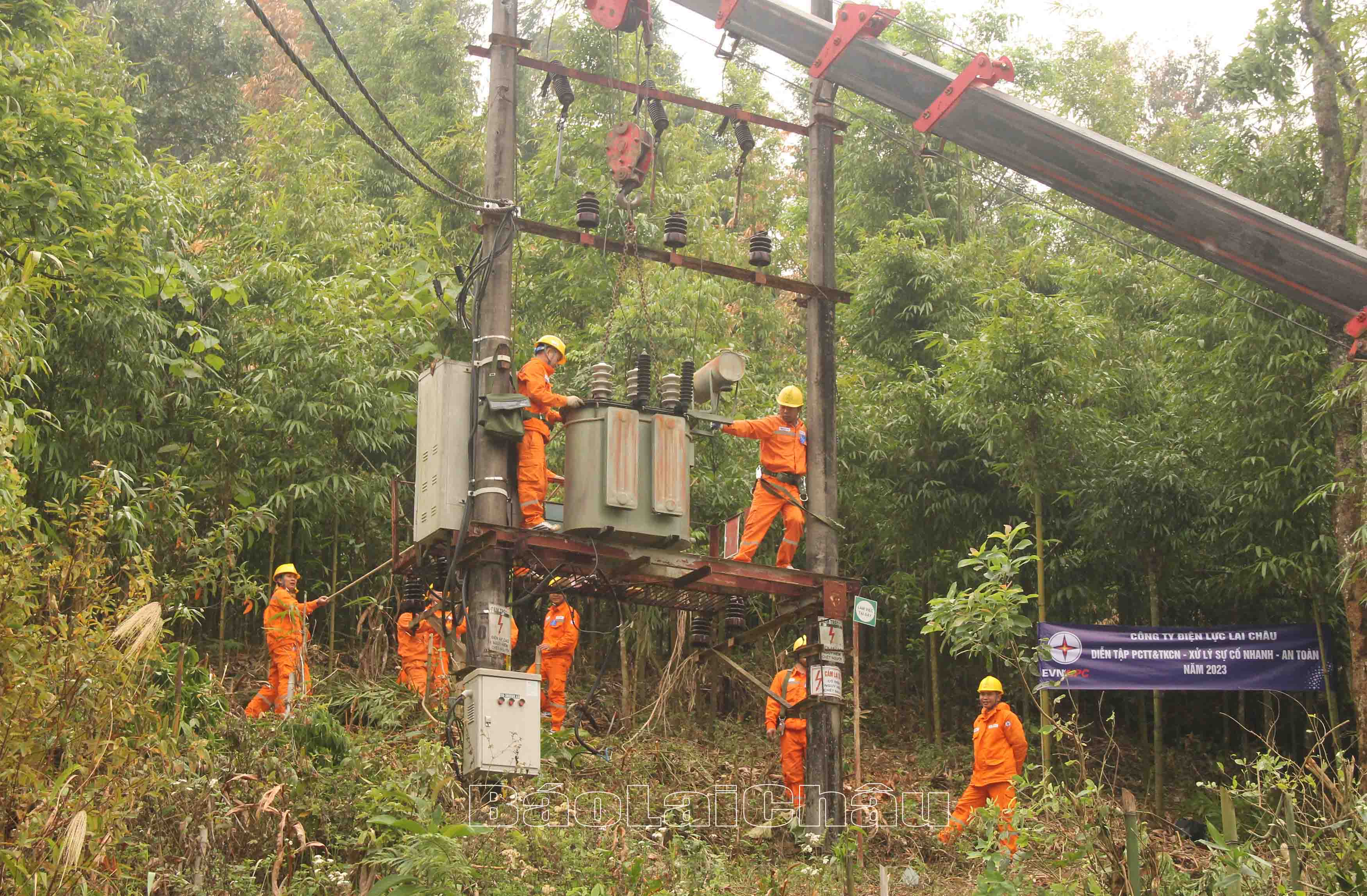 diễn tập