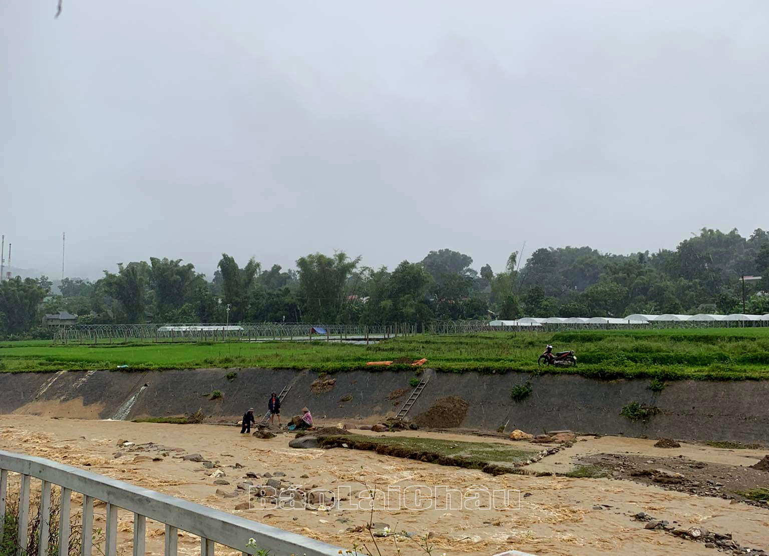 Bất chấp nguy hiểm, nhiều người dân ở các xã trên địa bàn huyện Than Uyên vẫn lội suối bắt cá.
