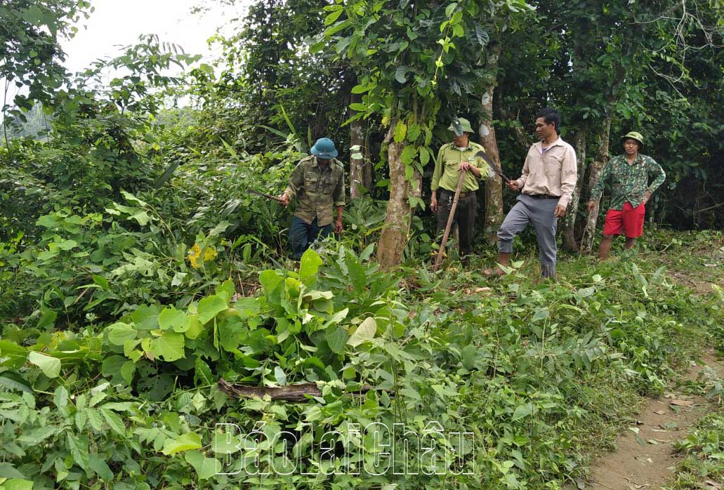 Bảo vệ và phát triển rừng, một trong những mục tiêu trọng tâm của xã Nậm Manh từ nay cho đến hết nhiệm kỳ.