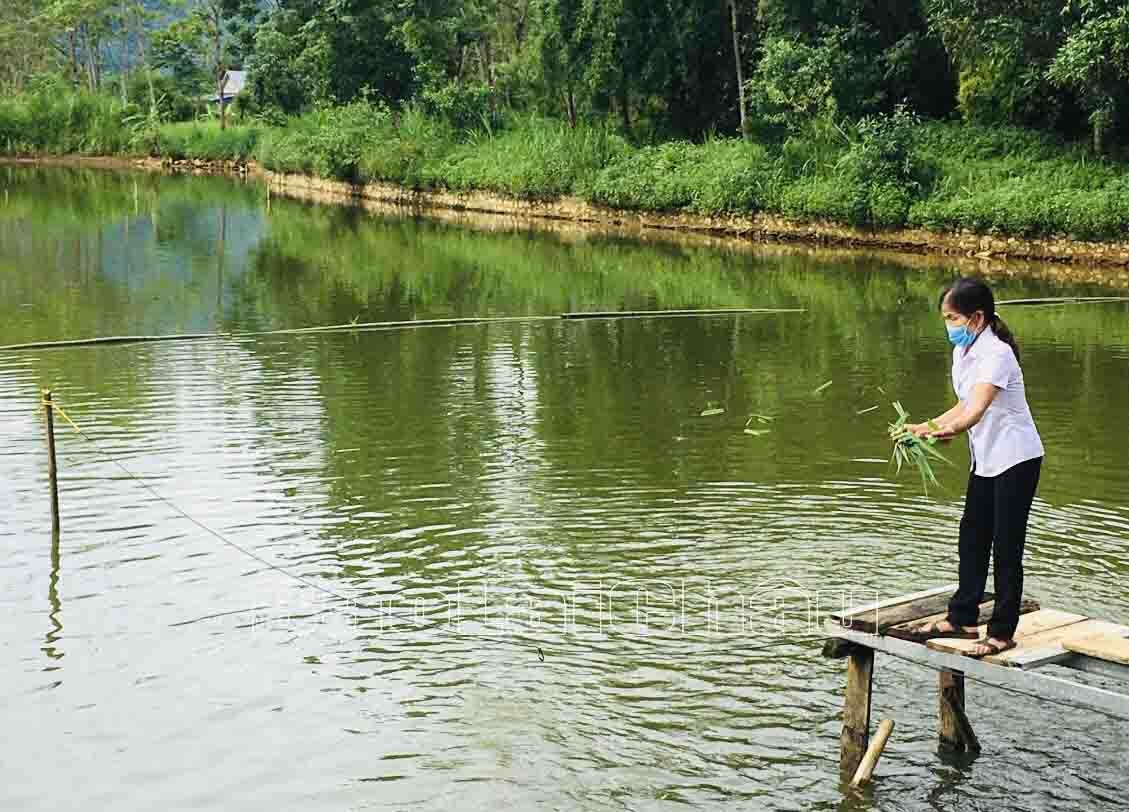 Bản Giang: Phát triển nghề nuôi trồng thủy sản
