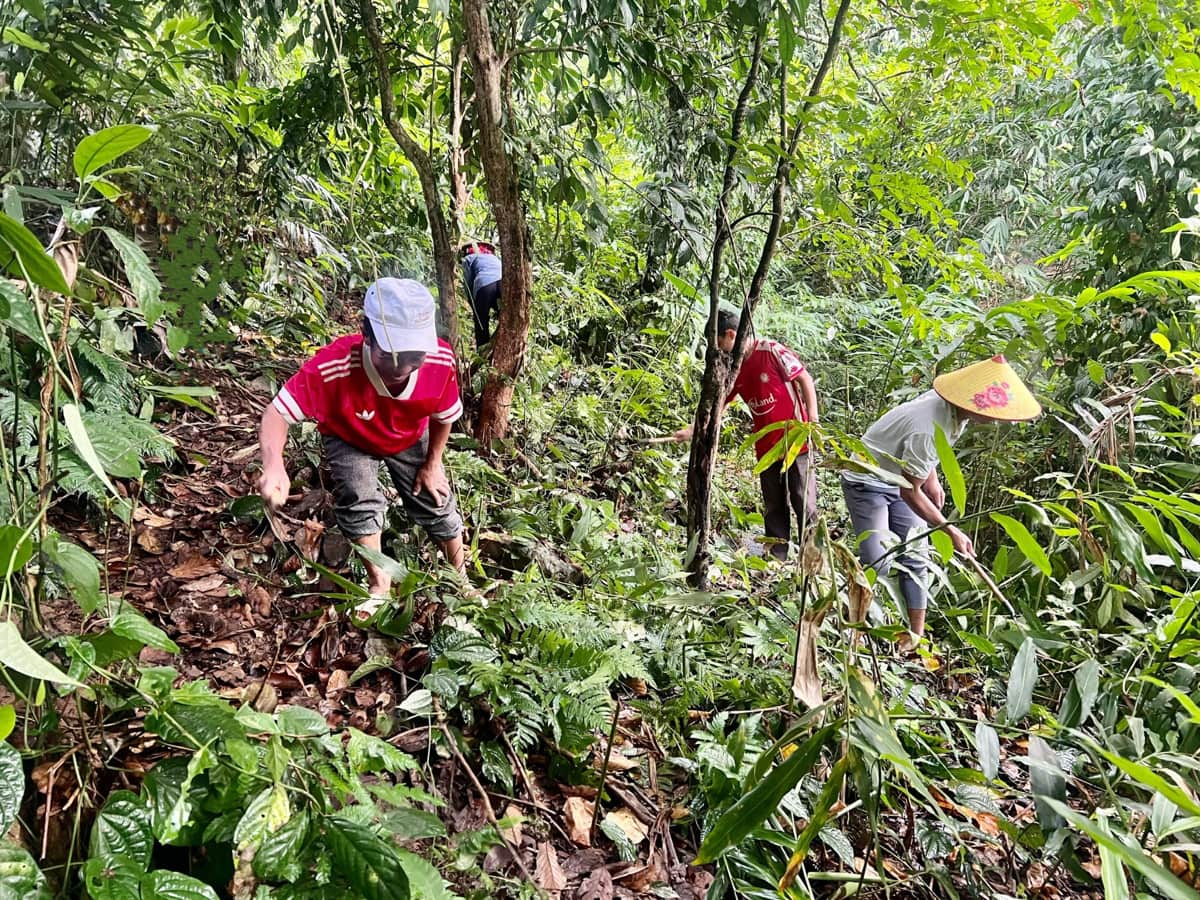 Tạo sinh kế cho người dân để giữ rừng