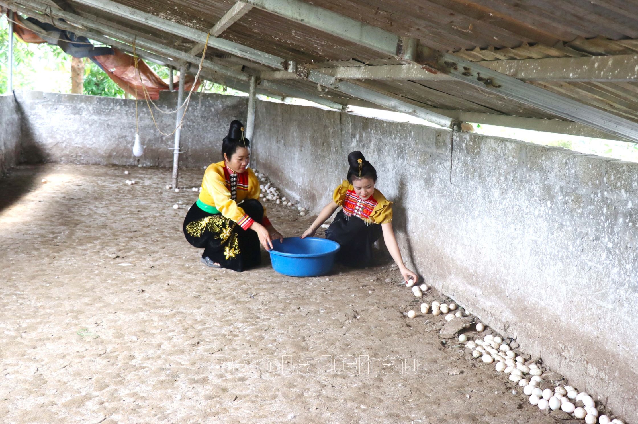 Người dân xã Noong Hẻo (huyện Sìn Hồ) vui mừng đạt thành quả khi đầu tư chăn nuôi gia cầm.