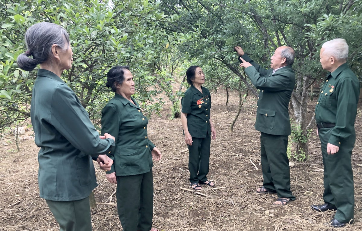 Phát huy truyền thống thanh niên xung phong