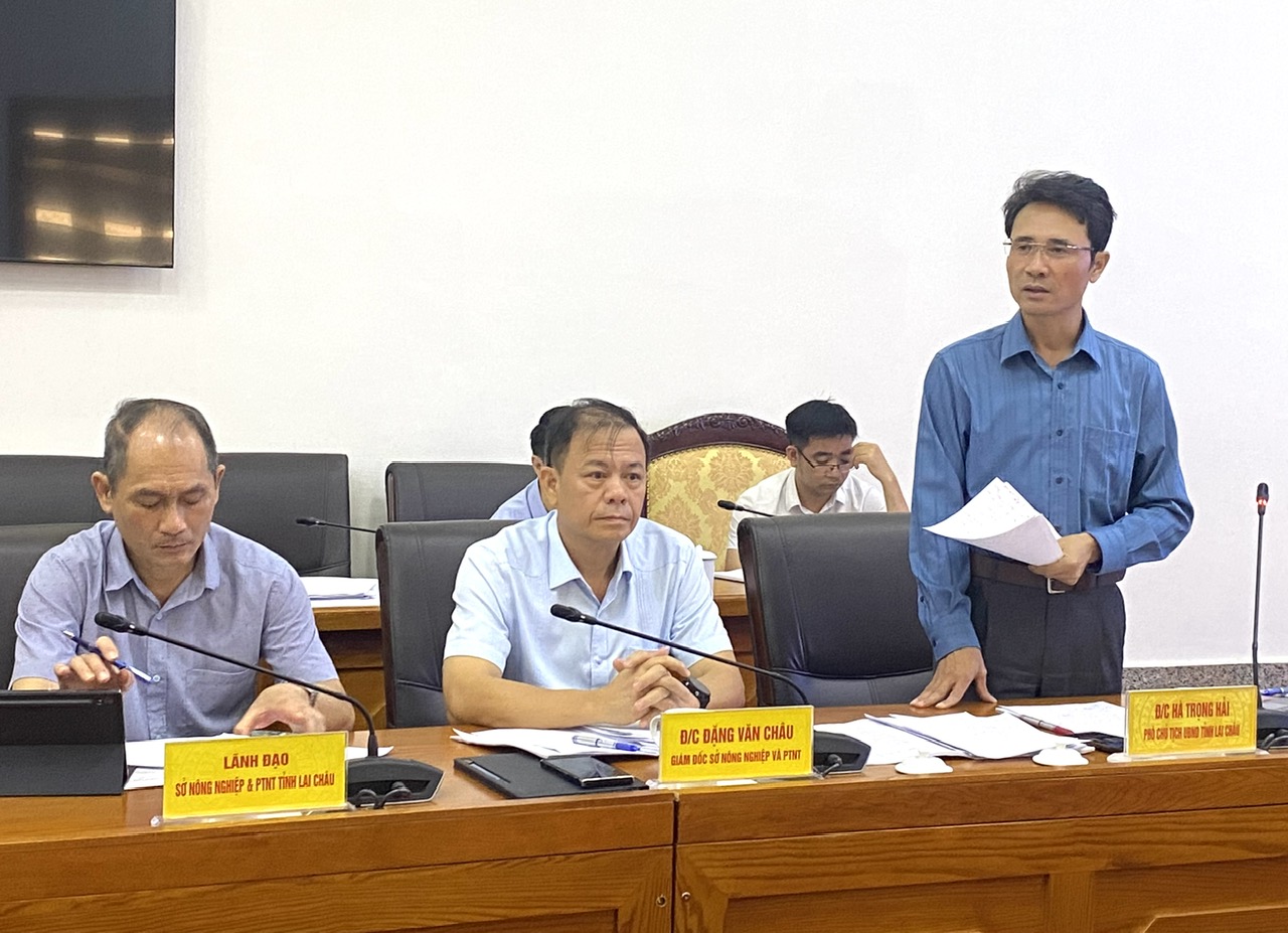 Đồng chí Hà Trọng Hải - Phó Chủ tịch UBND tỉnh, Phó Trưởng Ban Thường trực Ban Chỉ huy PCTT&TKCN tỉnh phát biểu tại cuộc họp. 