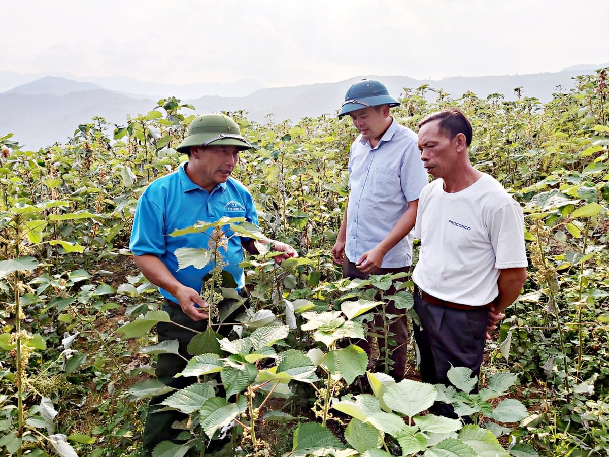 Vững thêm “nhịp cầu” nối ý Đảng - lòng dân