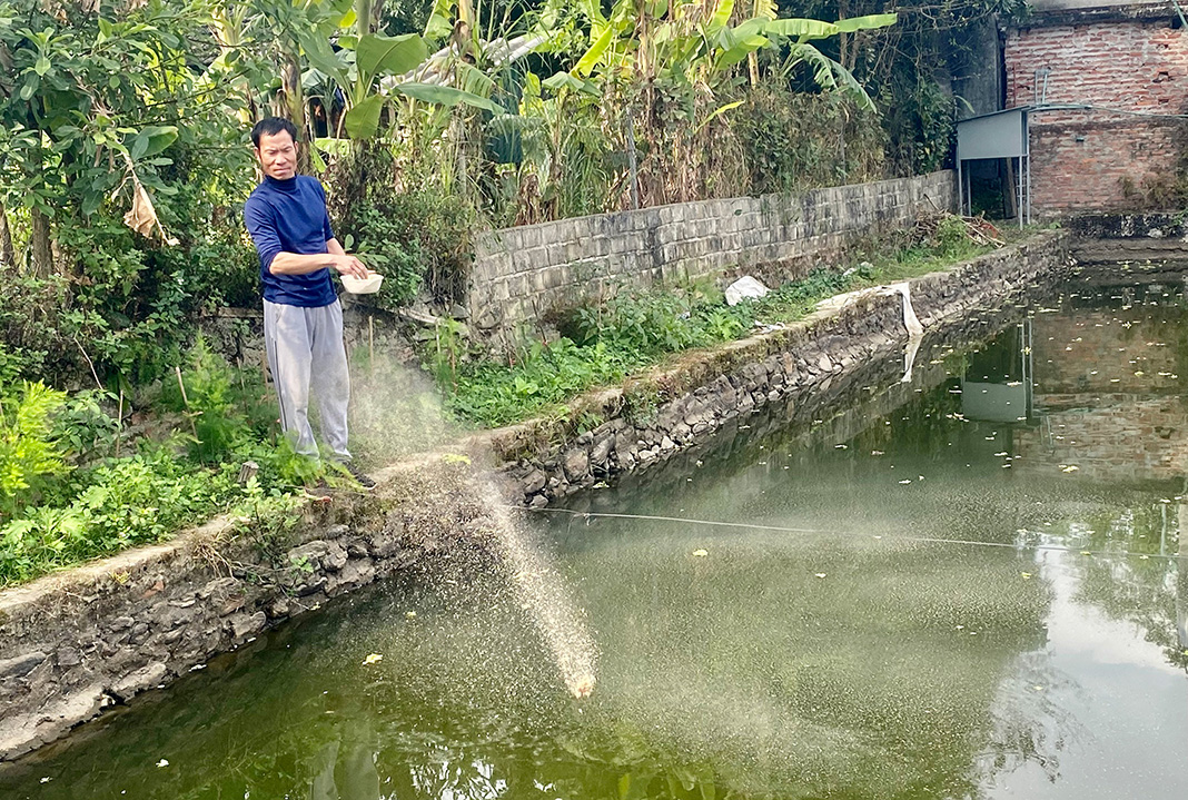 Anh Phan Văn Hoan (bản Mường, xã Mường Than) tích cực phát triển kinh tế gia đình.