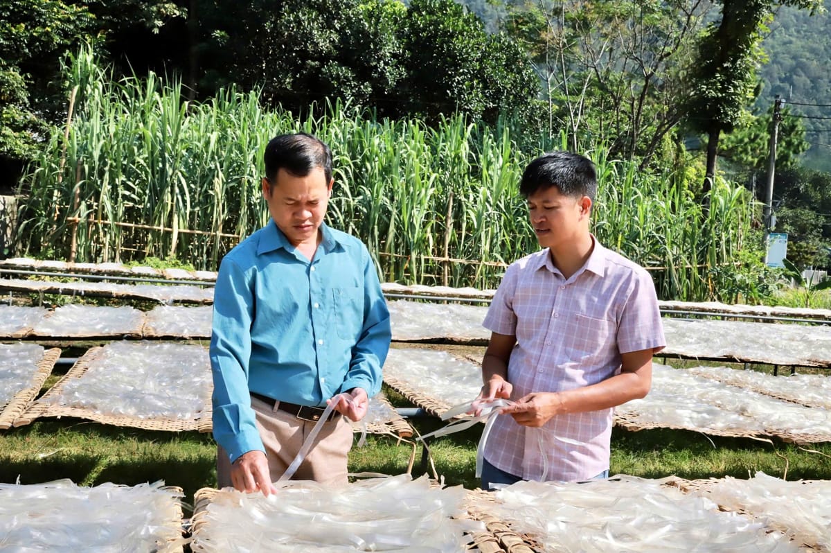 Phát triển nông nghiệp hàng hóa