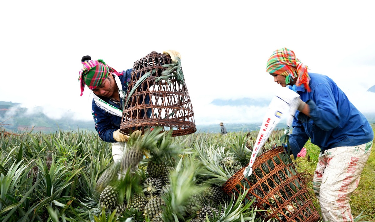 Khẳng định bản lĩnh của một doanh nghiệp ở miền biên viễn 