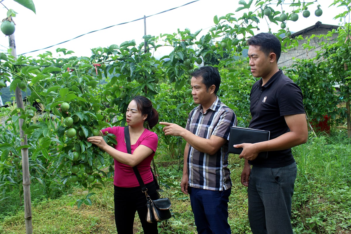 Hiệu quả từ những chính sách dành cho đồng bào dân tộc thiểu số