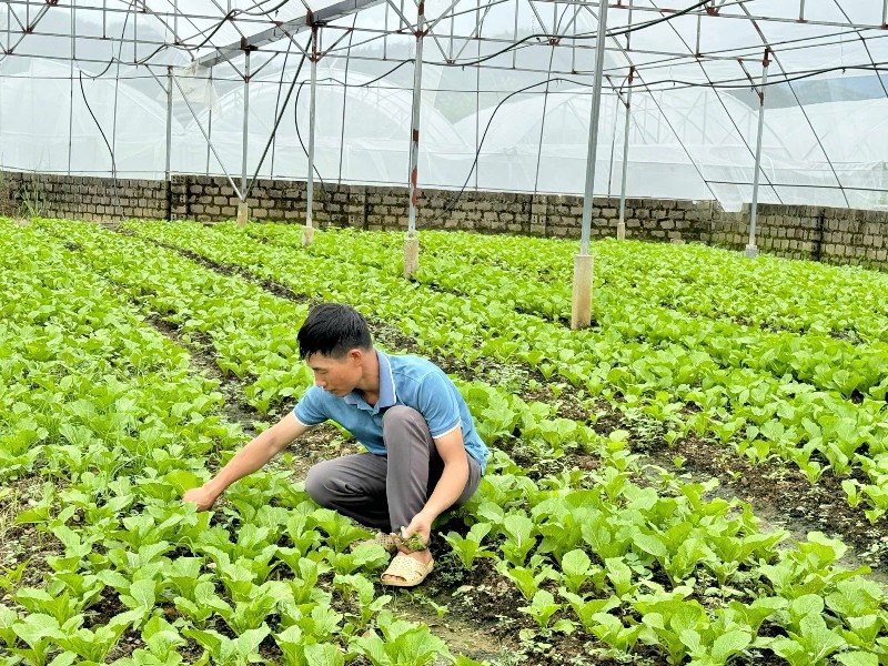 Nông dân Tam Đường thi đua sản xuất, kinh doanh giỏi